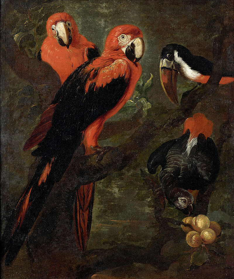 © Residenzgalerie Salzburg, Illustration Fotostudio Ulrich Ghezzi, Oberalm Parrots (scarlet macaw, grey parrot and toucan)