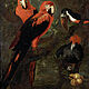© Residenzgalerie Salzburg, Illustration Fotostudio Ulrich Ghezzi, Oberalm Parrots (scarlet macaw, grey parrot and toucan)