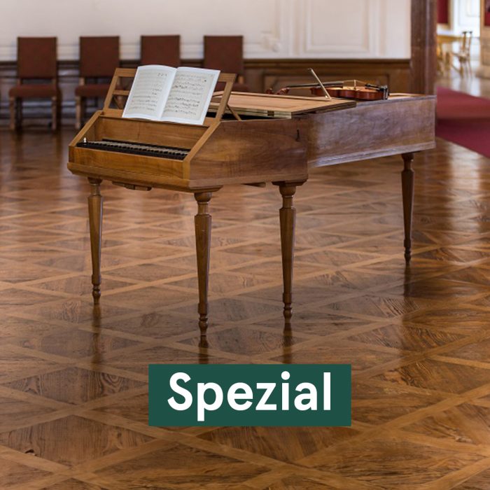 Veranstaltung Auf den Spuren Mozarts: Aus dem Leben eines musikalischen Genies im DomQuartier Salzburg